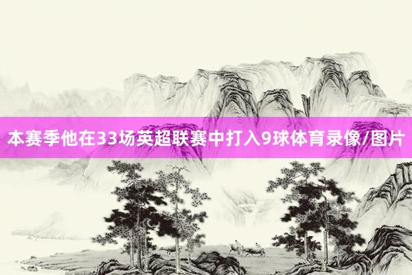 本赛季他在33场英超联赛中打入9球体育录像/图片