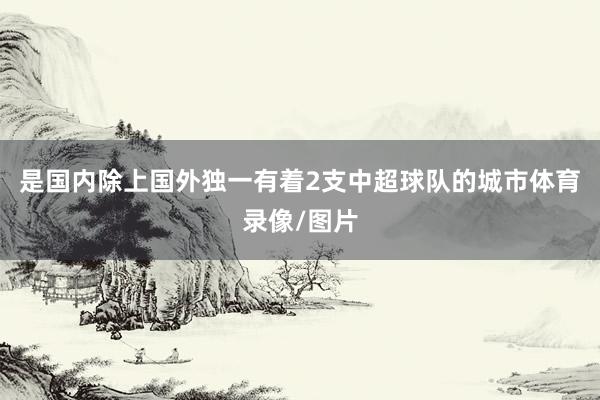 是国内除上国外独一有着2支中超球队的城市体育录像/图片
